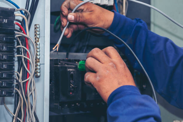 Best Generator Installation Services  in Cassville, WV